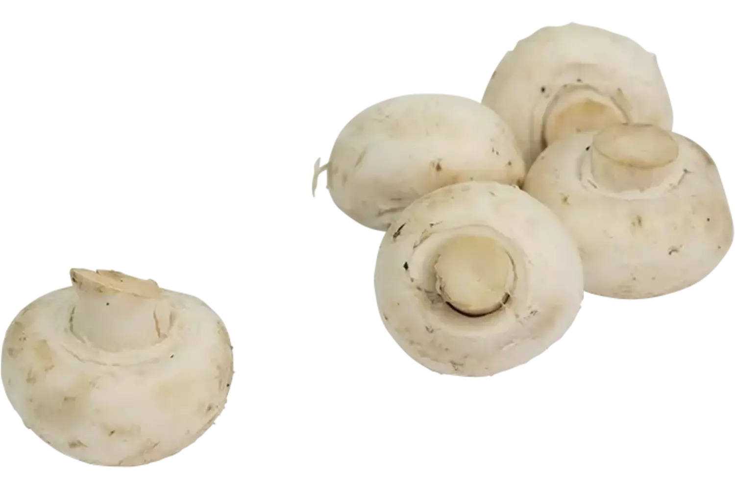 Champignons los klasse 2 kist 4 kilogram
